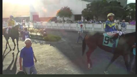 asianbookie.com horse racing